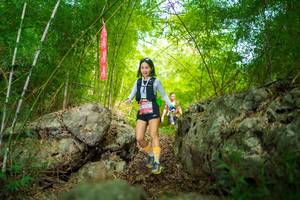 BIB: 
                            <button type="button" onclick="openModal(22088323)" class="btn btn-primary btn-sm float-right btn-popup" data-toggle="modal" data-target=".modal-high-quality">
                        <i class="fas fa-shopping-cart"></i> Add to Cart
                    </button>
                                            <button type="button" onclick="isThisMe(22088323, true)" class="btn btn-success btn-sm float-right btn-popup btn-isme hidden" data-toggle="tooltip" data-placement="bottom" title="นี่คือรูปของคุณใช่ไหม คลิกที่นี่เพื่อเอาเข้าอัลบั้ม">
                        <i class="fas fa-plus"></i> Add to album
                    </button>
                    <button type="button" onclick="isThisMe(22088323, false)" class="btn btn-warning btn-sm float-right btn-popup btn-isnotme hidden">
                        <i class="fas fa-ban"></i> Remove from album
                    </button>